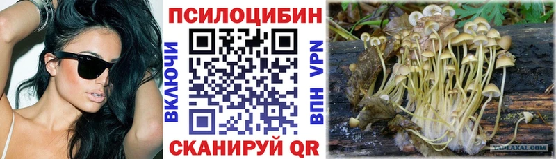 Псилоцибиновые грибы Psilocybe  omg маркетплейс  Слободской 